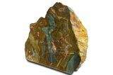 Free-Standing, Gary Green Jasper (Larsonite) Bog Wood - Oregon #334807-1